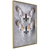 Poster Two Moths 40x60