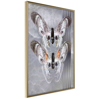 Poster Two Moths 40x60