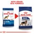 ROYAL CANIN SHN Maxi Adult, za odrasle pse velikih pasmina, 4 kg