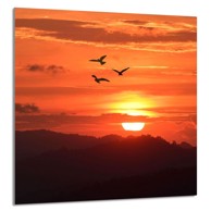 TMK Staklena zaštita za štednjak ili ploču za kuhanje 60x65, sunce