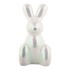 PT LIVING Kipić (visina 20 cm) Balloon Bunny