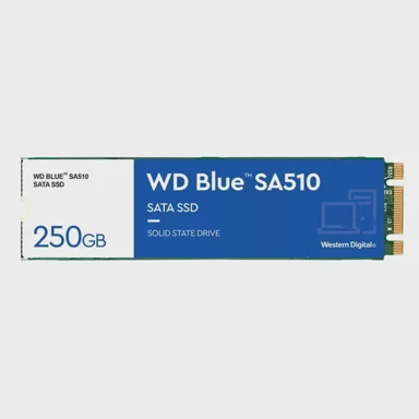 WESTERN DIGITAL SSD disk Blue SA510, 250 GB, M.2 2280 SATA 3, 555/440 MB/s