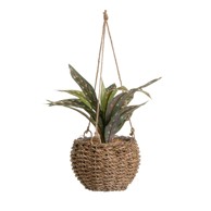 CASA SELECCION Umjetna biljka, visina 25 cm