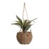 CASA SELECCION Umjetna biljka, visina 25 cm  