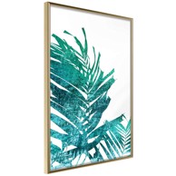 Poster Teal Palm on White Background 20x30
