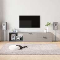 Stalci za zvučnike (2 kom, srebrni, od kaljenog stakla s 1 stupom)