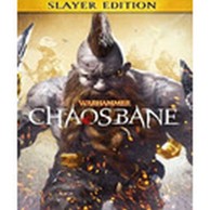 Igra za PC: Warhammer: Chaosbane Slayer Edition