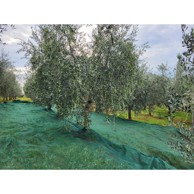 BR GARDEN Mreža za berbu maslina