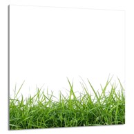TMK Staklena zaštita za štednjak ili ploču za kuhanje 60 x 65 cm, bijela