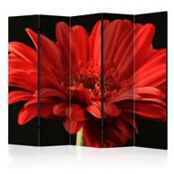 Sobna pregrada u 5 dijelova Red gerbera flower II 225x172