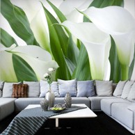 Foto tapeta bunch of flowers callas 350x270