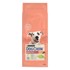 DOG CHOW Suha hrana za pse Adult Sensitive, 14 kg