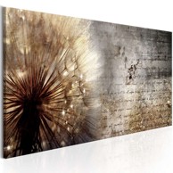 Slika Dandelion on Concrete 150x50