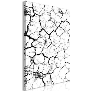 Slika Cracked Earth Vertical 40x60
