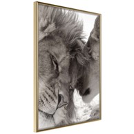 Poster Predatory Couple 20x30