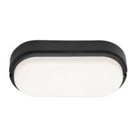 Vanjska zidna/stropna svjetiljka Hort, LED, 15W, 1100 lm, IP54, RA7409, crna