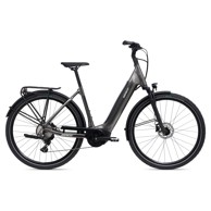 GIANT Bicikl DailyTour E+ 2D LDS, sivi
