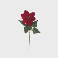 Rezano cvijeće Božićna zvijezda 43 cm, crvena