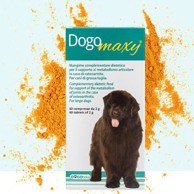 DOGOTEKA DOGOmaxy, 60 tableta