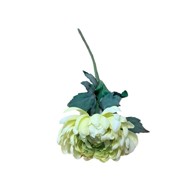 Rezano cvijeće krizantema premium 52 cm, žuta