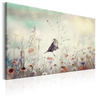 Slika Wild Meadow 60x40