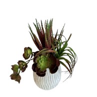 Cvjetni aranžman Sukulent u tegli, 24x24x28 cm