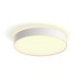PHILIPS HUE LED Stropna svjetiljka 33,5 W Enrave