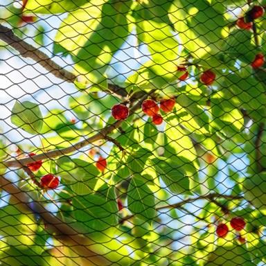 SPRINGOS Mreža protiv ptice, 8x20 m, +20 sidara