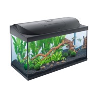 TETRA Akvarij Starter Line, crni, LED osvjetljenje, 105 l