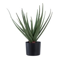 HOUSE NORDIC Umjetna biljka Aloe Vera, visina 51 cm  