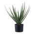 HOUSE NORDIC Umjetna biljka Aloe Vera, visina 51 cm  