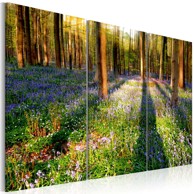 Slika Spring Forest 90x60