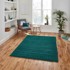 THINK RUGS Smaragdno zeleni tepih Sierra, 160 x 220 cm
