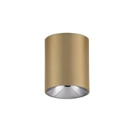 Stropni reflektor, Aneto, NL9695152, LED, 10W, 600 lm, 3000K, IP20, zlatna