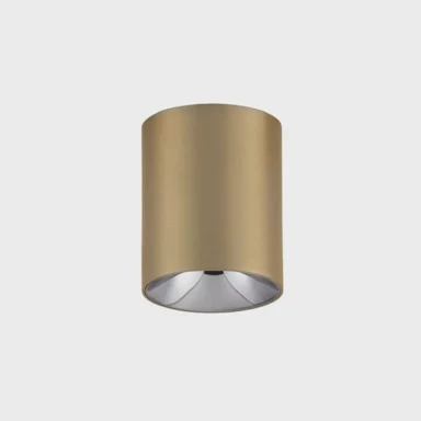 Stropni reflektor, Aneto, NL9695152, LED, 10W, 600 lm, 3000K, IP20, zlatna