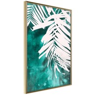 Poster White Palm on Teal Background 20x30