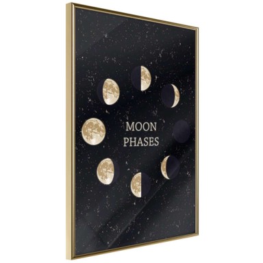 Poster In the Rhythm of the Moon 40x60
