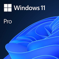 MICROSOFT Windows 11 Professional, 64-bit, 1 licenca, engleski