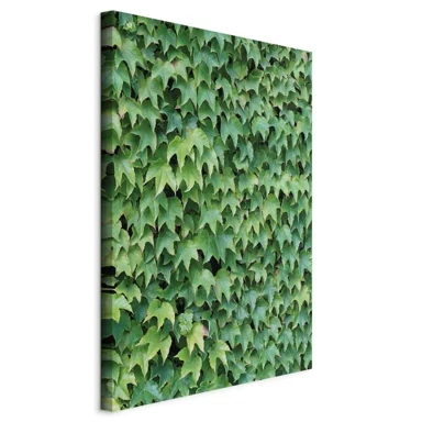 Slika Thick Ivy, jednodijelna, okomita, 80x120 cm