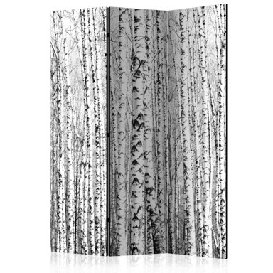 Sobna pregrada u 3 dijela Birch forest 135x172