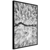 Poster Frost Land 40x60