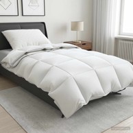 Set popluna i jastuka FULDA s 90% guščjeg paperja za sve sezone 135 x 200 cm, 310 g/m², 2 kom.