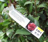 OKI Prstenovi za označavanje 5 x 40 x 278 mm, 250 listova