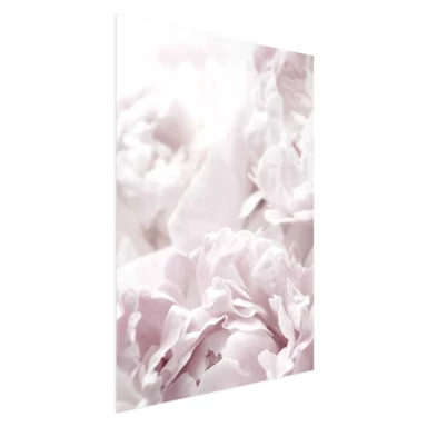 Plakat Fluffy Peonies, 21x30 cm
