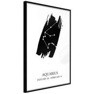 Poster Zodiac: Aquarius I 20x30