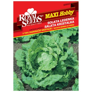 ROYAL SEEDS Sjeme povrća 53 salata zagrebačka kristalka