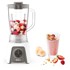 TEFAL Blender BL2C01
