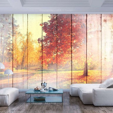 Foto tapeta Autumn Sun 350x245