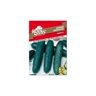 ROYAL SEEDS Sjeme povrća 144 krastavac darina f1