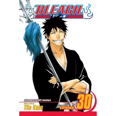 Bleach vol. 30